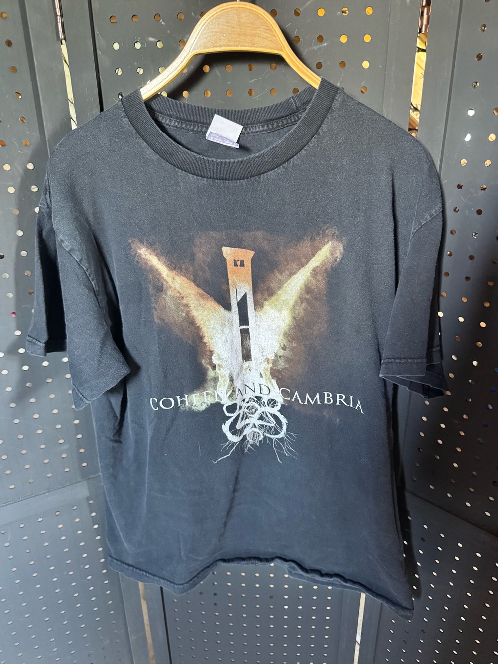 Coheed and Cambria angel graphic